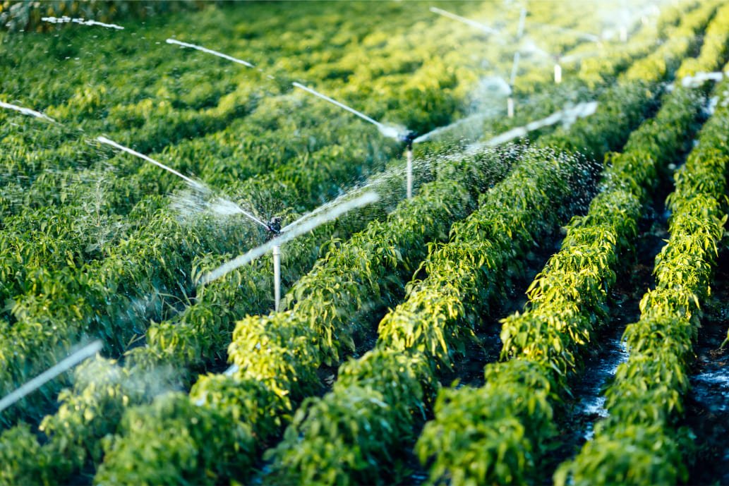 Water Conservation in Farming