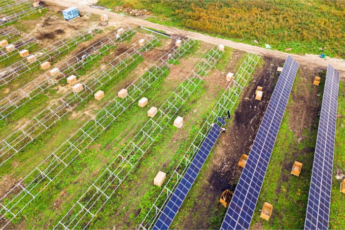 Solar Panels on Farm